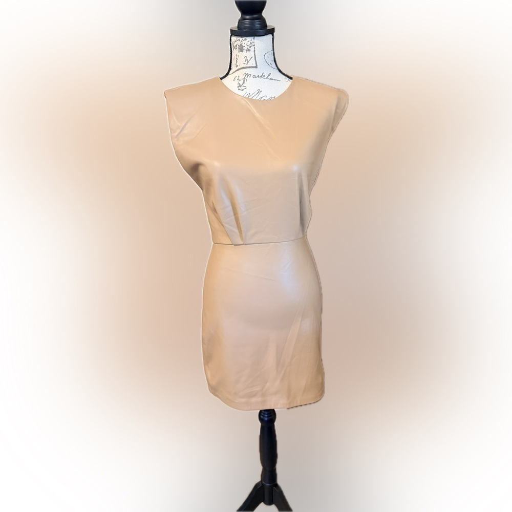 Zara Faux Leather Dress